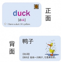 叁沃 小学儿童英语三至六年单词卡片