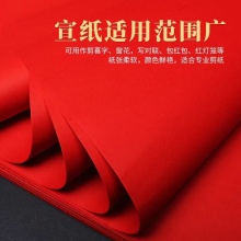 叁沃 新剪纸红纸学生手工刻纸双面红宣纸洒金宣纸A3A4剪纸窗花剪纸画 手工双面大红纸新手A4尺寸  张